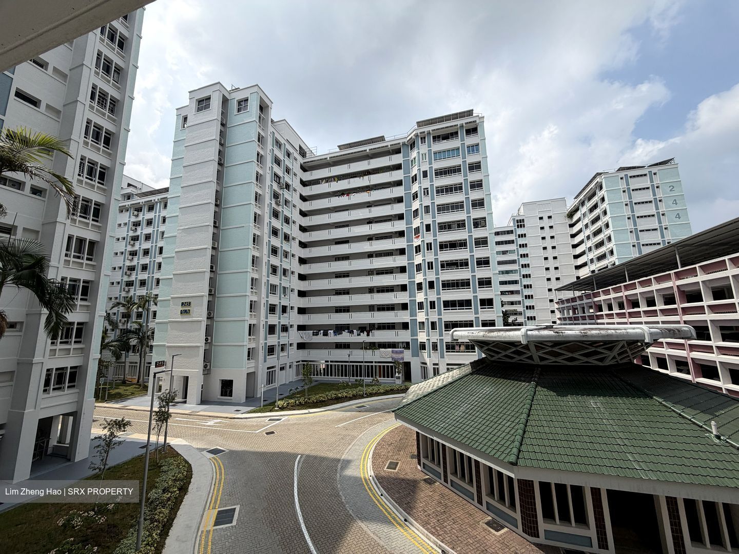 Blk 248 Pasir Ris Street 21 (Pasir Ris), HDB Executive #623177591